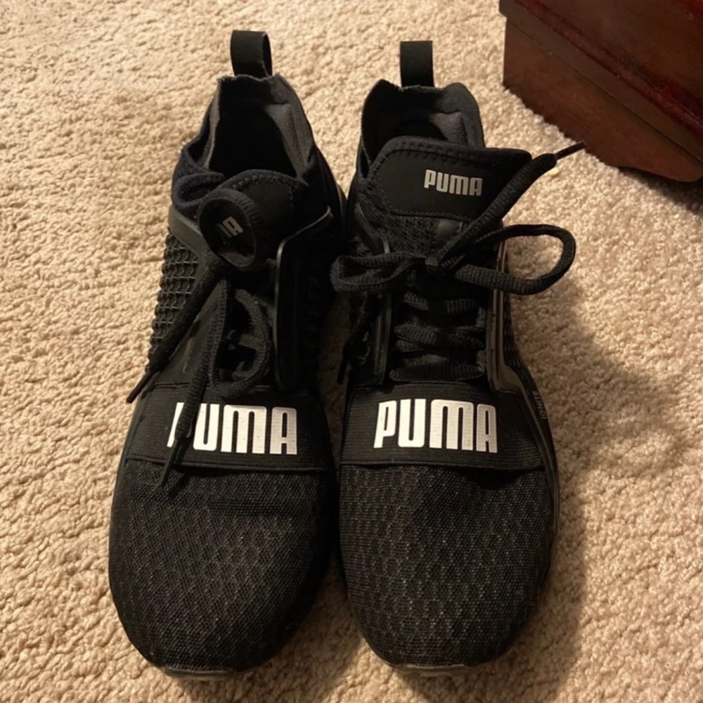 Pumas